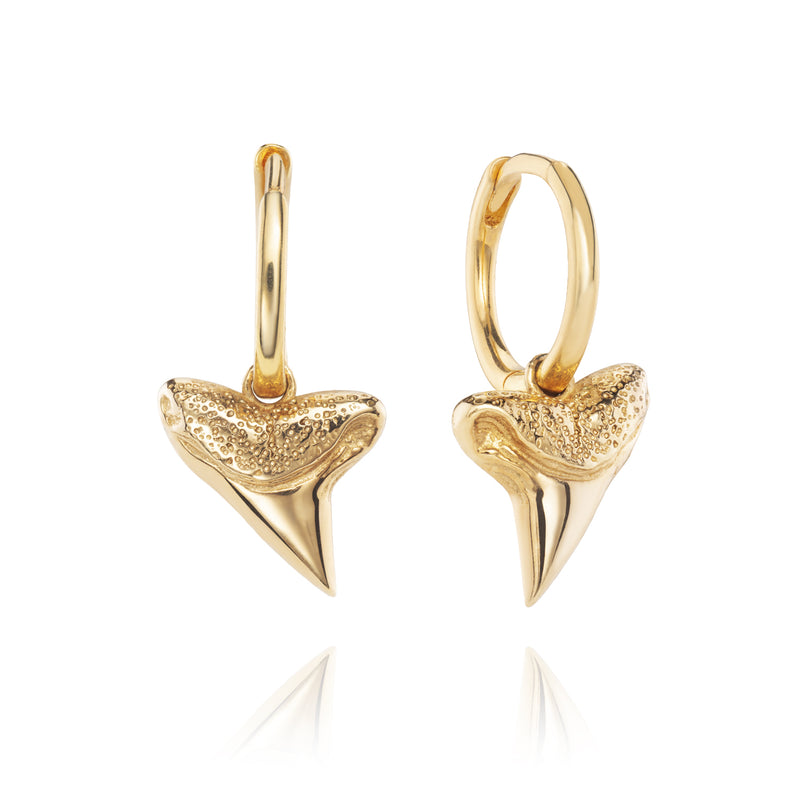 Shark Tooth Earring- Solid Gold