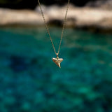 Aaria London Shark Tooth Necklace - Solid Gold Necklaces