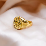Aaria London Snake Signet Ring - Gold Rings 6