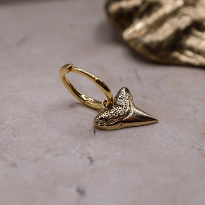 shark tooth earring- solid gold- aaria london