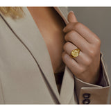 Aaria London Snake Signet Ring - Gold Rings